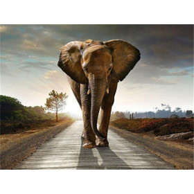 Diamond Painting een olifant op de weg