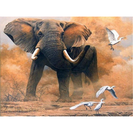 Diamond Painting Olifant En Vogels