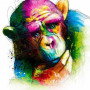 Diamond Painting Coreol Monkey