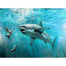 Diamond Painting Haaien en zeehonden