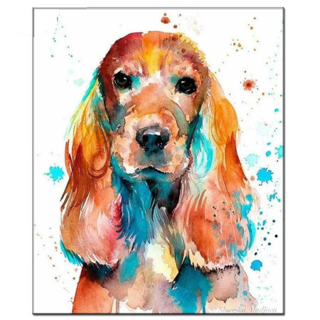 Diamond Painting Amerikaanse Spaniel