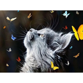 Diamond Painting kat bezeten door de kleurrijke vlinders