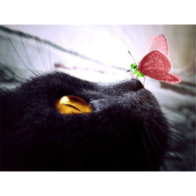 Diamond Painting Black chat hypnotische gezicht mysterie roze vlinder