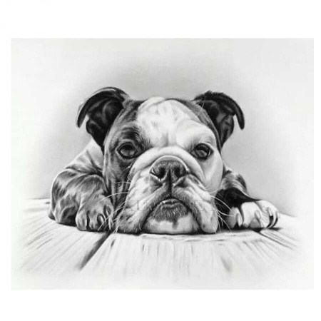 Diamond Painting Engelse Bulldog