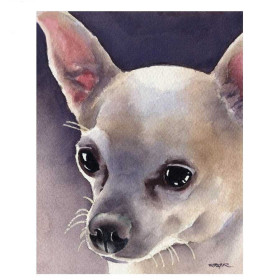 Diamond Painting Chihuahua