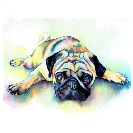 Diamond Painting Bulldog op de Grond