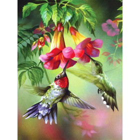 Diamond Painting Paar Hummingbirds Orville