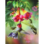 Diamond Painting Paar Hummingbirds Orville