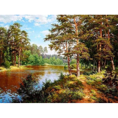 Diamond Painting Landschap Bos 5D Rivier