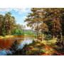 Diamond Painting Landschap Bos 5D Rivier