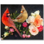 Diamond Painting Kardinaal Vogels