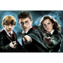 Diamond Painting Harry Potter Legendaire trio klaar voor de strijd