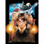 Harry Potter Diamond Painting Magische kasteelhekserijscène