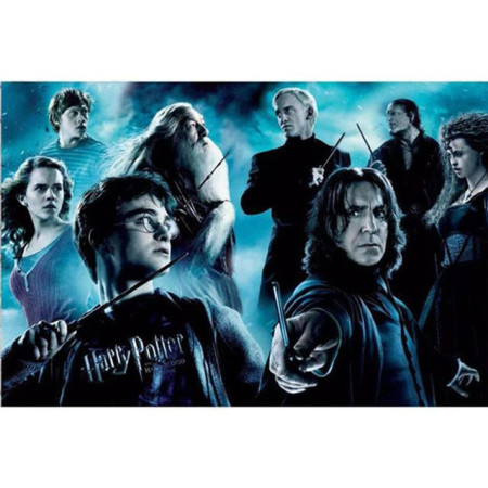 Harry Potter Diamond Painting - epische laatste confrontatie