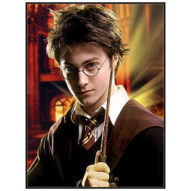 Harry Potter, de tovenaar in actie