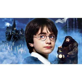 Diamond Painting Harry Potter - De tovenaarswereld komt tot leven