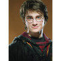 Diamond Painting Harry Potter, De Heks van Elegantie