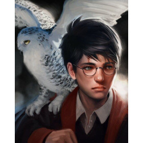 Diamond Painting Harry Potter en Hedwig, een magische vriendschap