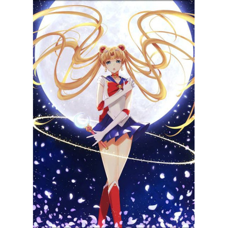 Diamond Painting Cartoon Cosplay Serie N