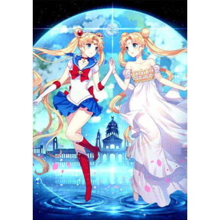 Diamond Painting Cartoon Cosplay-serie R