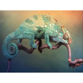 Diamond Painting 3D Kameleon D-serie