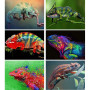 Diamond Painting 3D Chameleon F-serie