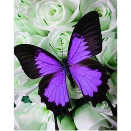 Diamond Painting Crystal Butterfly-serie J