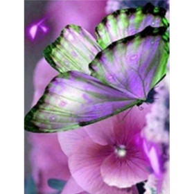 Diamond Painting Bloemen en vlinderkleur 3D H