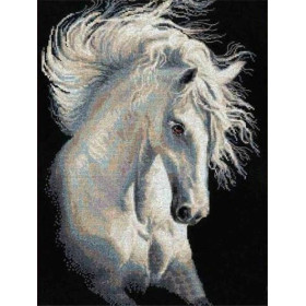 Portret Wit Paard Diamond Painting