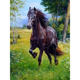 Galopperend paard Diamond Painting