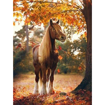 Diamond Painting Paard Bos Herfst Warme kleuren