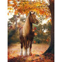 Diamond Painting Paard Bos Herfst Warme kleuren