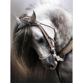 Diamond Painting Portret Majestueus Arabisch Paard