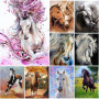 Diamond Painting Paard Eenhoorn Fairy Levendige kleuren