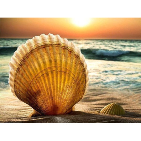 Diamond Painting Beach Shell serie B