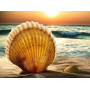 Diamond Painting Beach Shell serie B