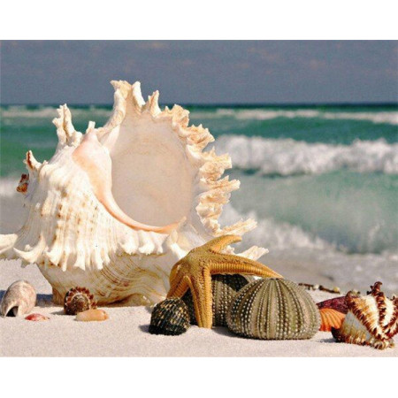 Diamond Painting Beach Shell serie F