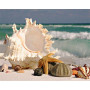 Diamond Painting Beach Shell serie F