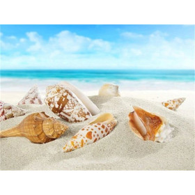 Diamond Painting Beach Shell G-serie