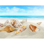 Diamond Painting Beach Shell G-serie