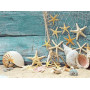 Diamond Painting Beach Shell serie I