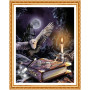 Diamond Painting Harry Potter, de magie van kennis