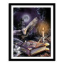 Diamond Painting Harry Potter, de magie van kennis