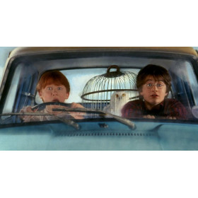 Diamond Painting Harry Potter, de veelbewogen ontsnapping in Ford Anglia
