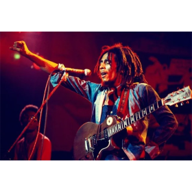 Diamond Painting Bob Marley In Concert