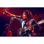 Diamond Painting Bob Marley In Concert